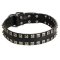 New Leather Mastiff Collar - Fashion Exclusive Design - "Caterpillar"