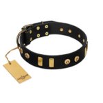 "Rare Dog" FDT Artisan Black Leather Mastiff Collar with Old Bronze-like Dotted Studs and Tiles