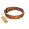 "Knights Templar" FDT Artisan Tan Leather Mastiff Collar with Skulls and Crossbones Combined with Squares