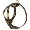 Tracking Walking Walking Leather Mastiff Harness for Puppies