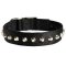 Exclusive Nylon Mastiff Collar with Awesome Nickel Cones