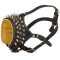 Royal Spiked and Studded Leather Mastiff Muzzle