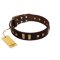 "Choco Delight" FDT Artisan Brown Leather Mastiff Collar with Old Bronze-like Plates and Studs