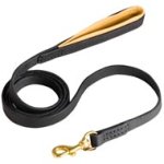 Padded on Handle Leather Mastiff Leash for Walking and Training