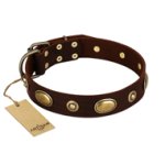 "Hebe's Jewel" FDT Artisan Brown Genuine Leather Mastiff Collar