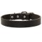 Mastiff Leather Dog Collar For Pleasant Wearing
