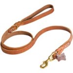 Walking and Training Leather Mastiff Leash with Comfy Handle