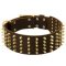 Wide Spiked Leather Mastiff Collar