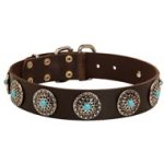 Leather Mastiff Collar with Blue Stones for Stylish Walking