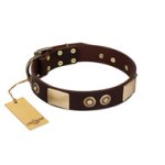 "Sense of Freedom" FDT Artisan Brown Leather Mastiff Collar with Old Bronze-Plated Studs and Plates