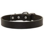Mastiff Leather Dog Collar For Pleasant Wearing