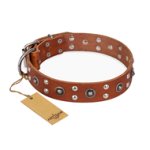 "Silver Elegance" FDT Artisan Decorated Leather Mastiff Collar with Old Silver-Like Plated Studs and Cones