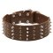 Extra Wide Leather Spiked and Studded Mastiff Collar