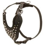 Adjustable Leather Mastiff Harness Studded for Fashion Walking