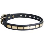Mastiff Leather Collar Brass Plates 25 mm