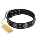 "Boundless Blue" FDT Artisan Black Leather Mastiff Collar with Chrome Plated Brooches and Square Studs
