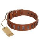"Silver Century" Fashionable FDT Artisan Tan Leather Mastiff Collar with Silver-Like Plates