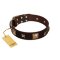 "Choco Dreams" FDT Artisan Brown Leather Mastiff Collar with Squares and Stars