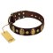 "Retro Pusle" FDT Artisan Brown Leather Mastiff Collar with Old Bronze-like Studs and Oval Brooches