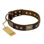 "Sparkling Bronze" FDT Artisan Genuine Leather Mastiff Collar with Bronze Look Stars and Plates