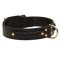 Incredible Design Mastiff Braided Leather Collar