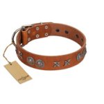"Splendid Armor" Premium Quality FDT Artisan Tan Designer Mastiff Collar with Shields and Stars