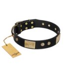 "Antique Gloss" FDT Artisan Black Leather Mastiff Collar with Bronze-like Plates and Small Studs