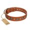 "Natural Beauty" FDT Artisan Tan Leather Mastiff Collar with Shining Silver-like Studs