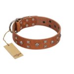 "Enchanted Skulls" FDT Artisan Tan Leather Mastiff Collar with Chrome Plated Skulls