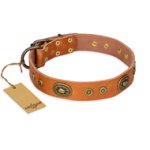 "Dandy Pet" FDT Artisan Handcrafted Tan Leather Mastiff Collar
