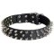 Leather Mastiff Collar with 3 Rows of Nickel Spikes