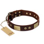 "Shining Armour" FDT Artisan Brown Leather Mastiff Collar with Decorations