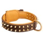 Spiked Mastiff Collar Padded with Nappa Leather