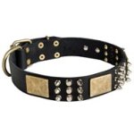 Spiked Leather Mastiff Collar with Plates and Cones