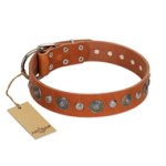 "Natural Beauty" FDT Artisan Tan Leather Mastiff Collar with Shining Silver-like Studs