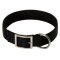 2 Ply Nylon Mastiff Collar