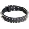 Leather Mastiff Collar with 2 Rows of Nickel Spikes
