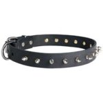 Mastiff Leather Collar Spiked 30 mm