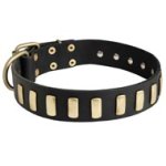 Fancy Leather Mastiff Collar with Brass Plates