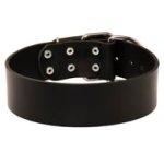 Extra Wide Leather Mastiff Collar for Professional Training