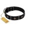 "Snappy Dresser" FDT Artisan Black Leather Mastiff Collar Adorned with Stars and Tiny Squares