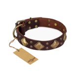"Golden Square" FDT Artisan Brown Leather Mastiff Collar with Large Squares