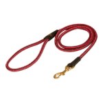 Mastiff Nylon Leash Multifunctional