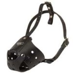 Everyday Leather Mastiff Muzzle for Training