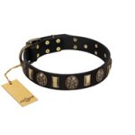 "Sea Romance" FDT Artisan Black Leather Mastiff Collar with Plates and Skulls
