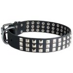 Leather Mastiff Collar with 3 Rows of Nickel Pyramids