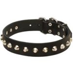 Gorgeous Wide Leather Mastiff Collar - Fashion Exclusive Design