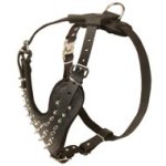 Spiked Leather Mastiff Harness for Fashionable Walking