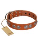 "Woofy Majesty" FDT Artisan Tan Leather Mastiff Collar with Round Silver-like Plates