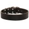 Wide Leather Mastiff Collar for Training and Walking